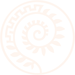 AYMARA CONSULT